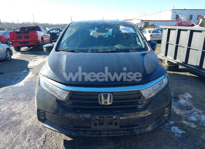 Photo 12 of 2024 Honda Odyssey EX-L (VIN 5FNRL6H63RB057902)