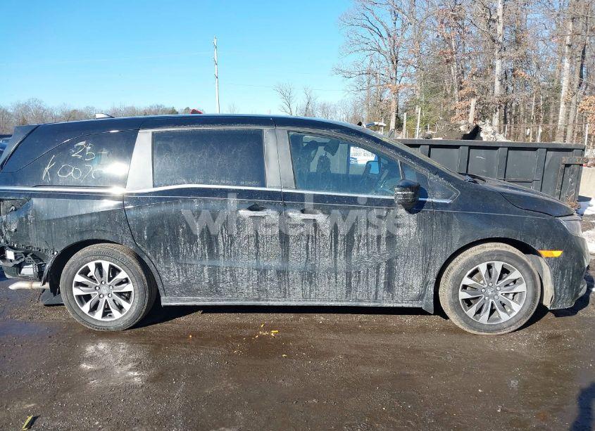 Photo 13 of 2024 Honda Odyssey EX-L (VIN 5FNRL6H63RB057902)