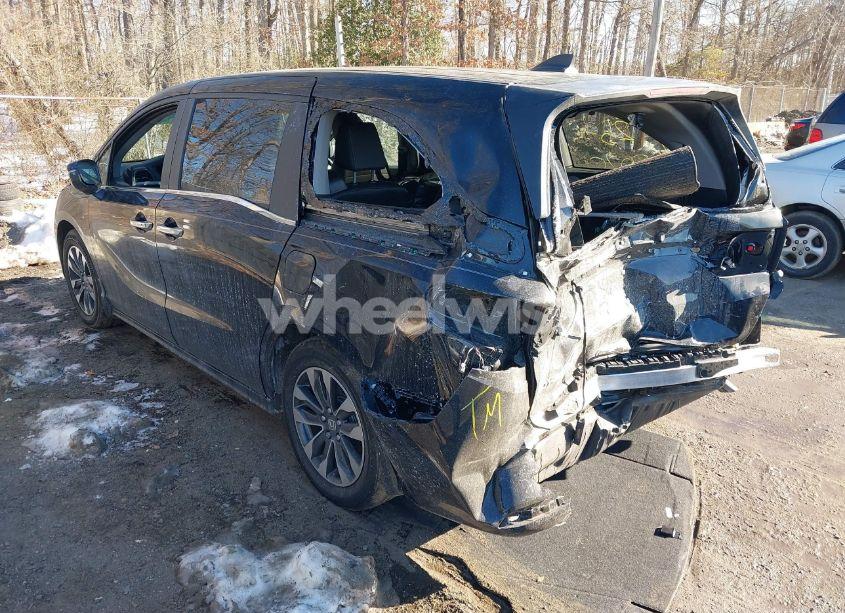 Photo 3 of 2024 Honda Odyssey EX-L (VIN 5FNRL6H63RB057902)