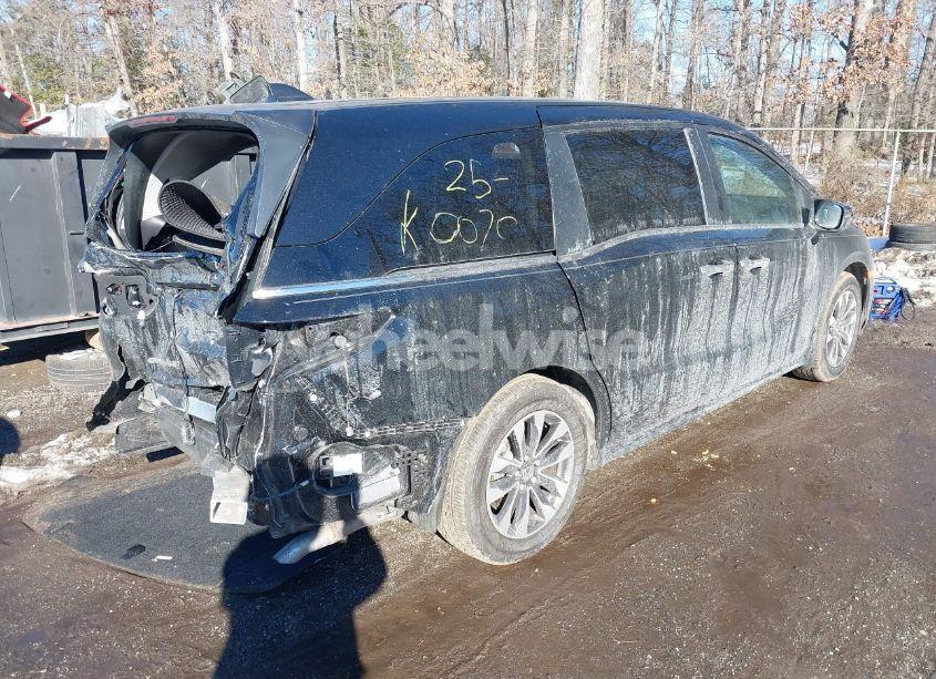 Photo 4 of 2024 Honda Odyssey EX-L (VIN 5FNRL6H63RB057902)
