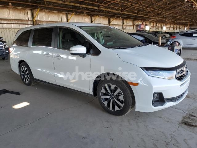 Photo 13 of 2025 HONDA ODYSSEY EXL (VIN 5FNRL6H63SB016062)