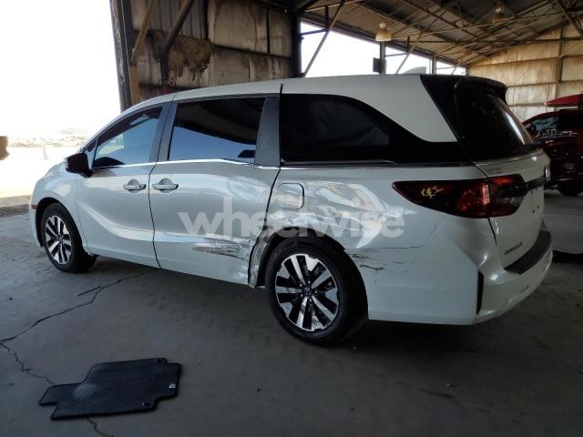 Photo 9 of 2025 HONDA ODYSSEY EXL (VIN 5FNRL6H63SB016062)