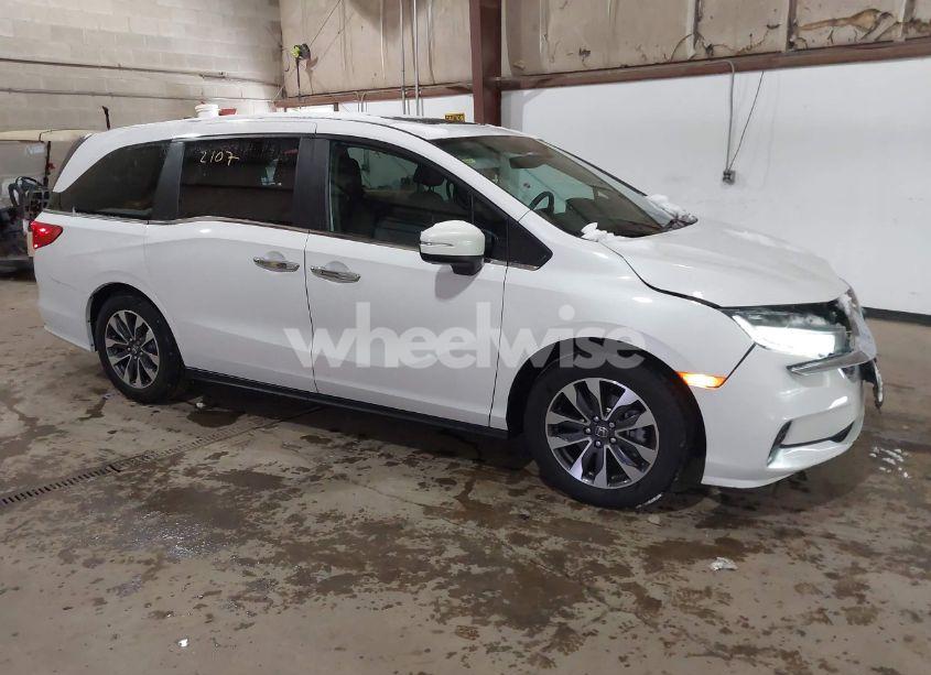 2023 Honda Odyssey EX-L (VIN 5FNRL6H64PB074785) main photo
