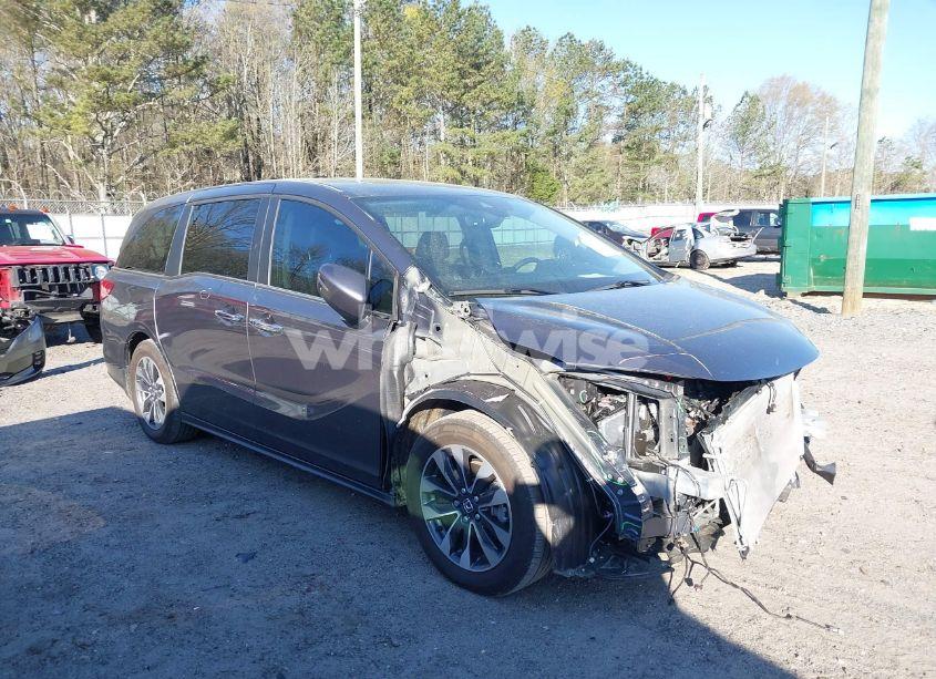 2024 Honda Odyssey EX-L (VIN 5FNRL6H64RB024021) main photo