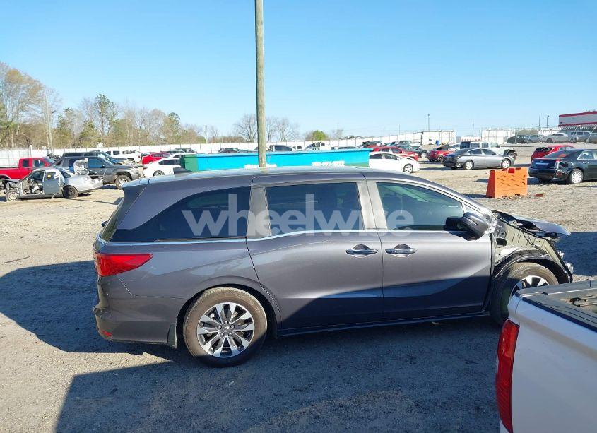 Photo 14 of 2024 Honda Odyssey EX-L (VIN 5FNRL6H64RB024021)