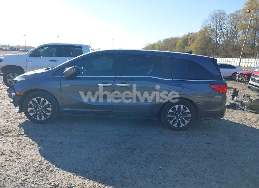 Photo 15 of 2024 Honda Odyssey EX-L (VIN 5FNRL6H64RB024021)