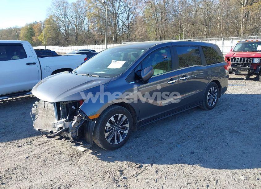Photo 2 of 2024 Honda Odyssey EX-L (VIN 5FNRL6H64RB024021)
