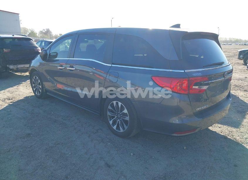 Photo 3 of 2024 Honda Odyssey EX-L (VIN 5FNRL6H64RB024021)