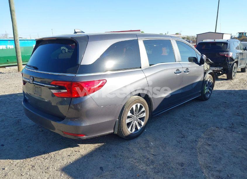 Photo 4 of 2024 Honda Odyssey EX-L (VIN 5FNRL6H64RB024021)