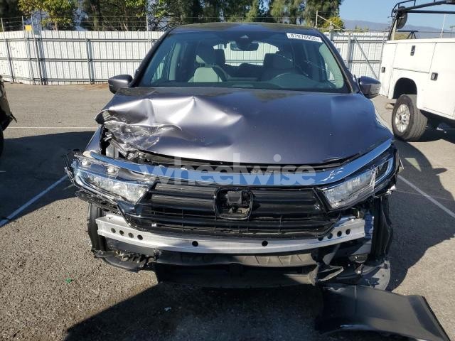 2024 HONDA ODYSSEY EXL (VIN 5FNRL6H64RB069069) main photo