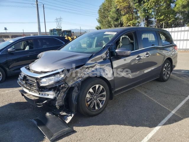 Photo 10 of 2024 HONDA ODYSSEY EXL (VIN 5FNRL6H64RB069069)