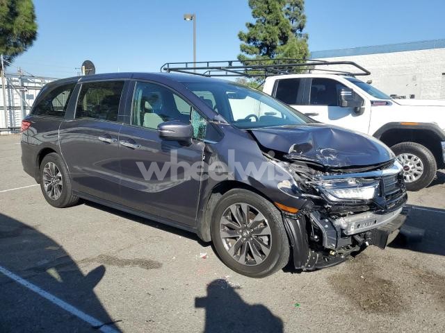 Photo 11 of 2024 HONDA ODYSSEY EXL (VIN 5FNRL6H64RB069069)