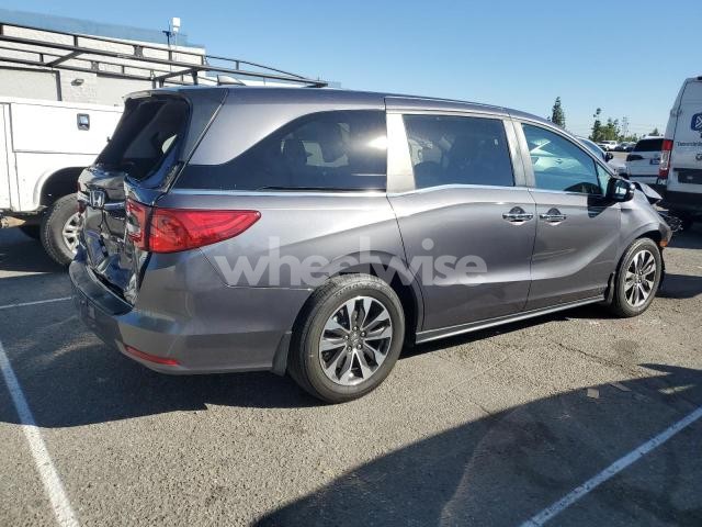 Photo 7 of 2024 HONDA ODYSSEY EXL (VIN 5FNRL6H64RB069069)