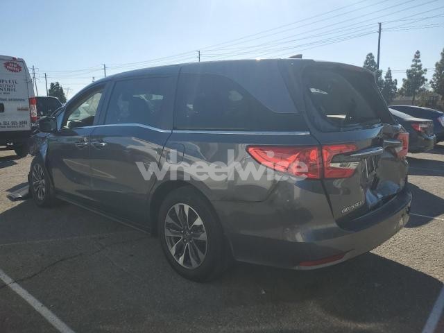 Photo 8 of 2024 HONDA ODYSSEY EXL (VIN 5FNRL6H64RB069069)