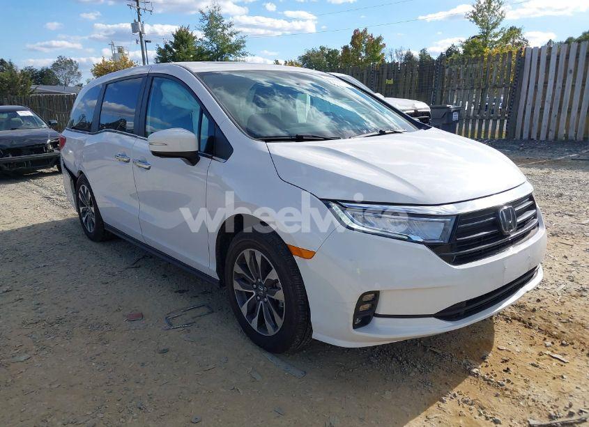 2024 Honda Odyssey EX-L (VIN 5FNRL6H65RB007535) main photo