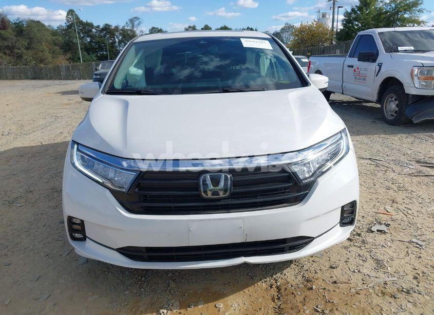 Photo 12 of 2024 Honda Odyssey EX-L (VIN 5FNRL6H65RB007535)