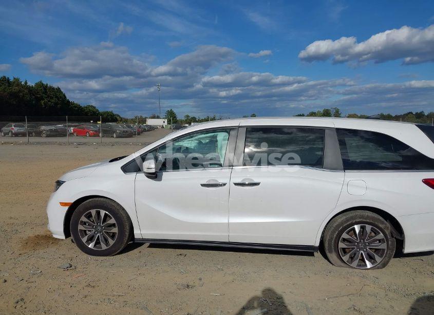 Photo 14 of 2024 Honda Odyssey EX-L (VIN 5FNRL6H65RB007535)