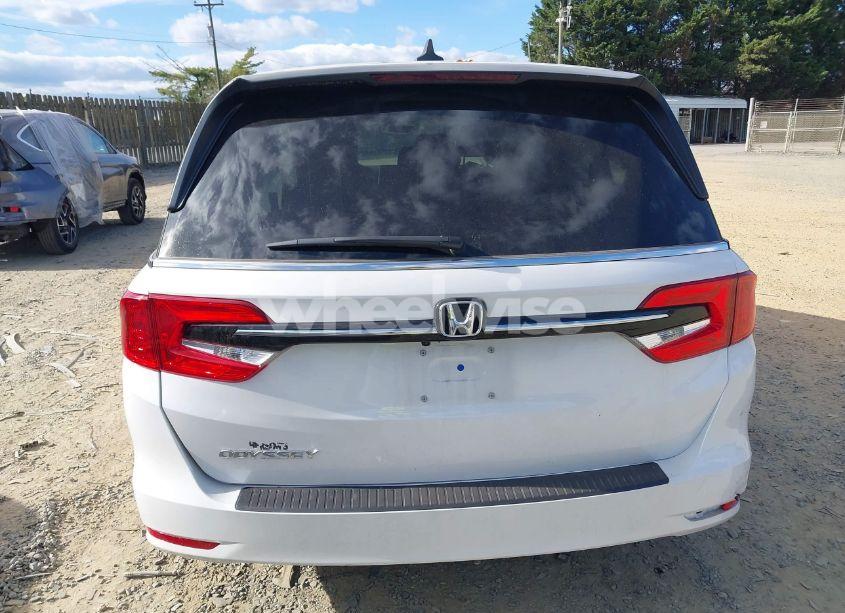 Photo 16 of 2024 Honda Odyssey EX-L (VIN 5FNRL6H65RB007535)
