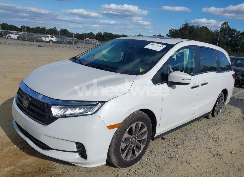 Photo 2 of 2024 Honda Odyssey EX-L (VIN 5FNRL6H65RB007535)
