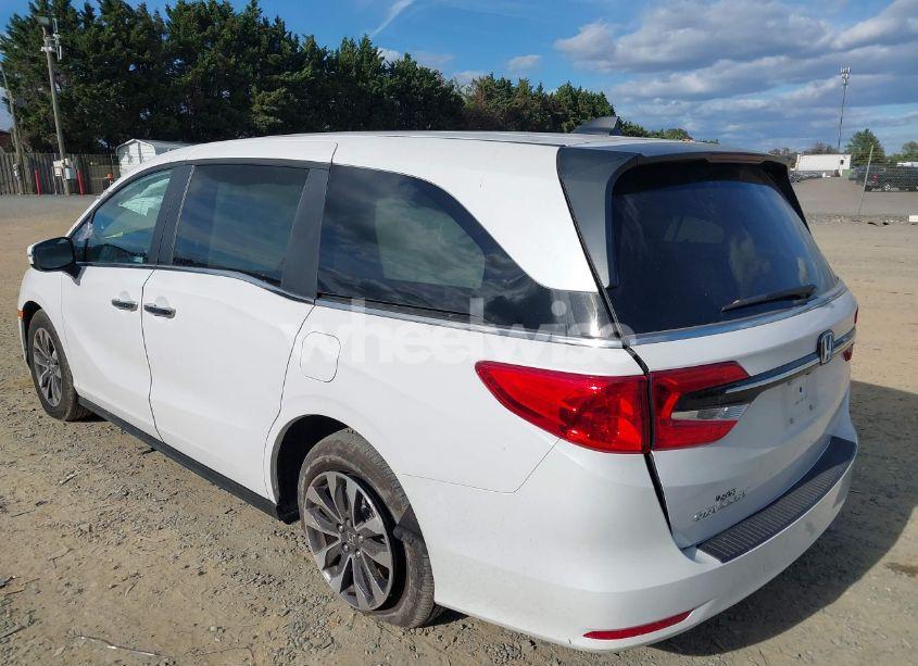 Photo 3 of 2024 Honda Odyssey EX-L (VIN 5FNRL6H65RB007535)