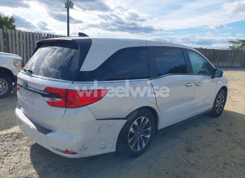 Photo 4 of 2024 Honda Odyssey EX-L (VIN 5FNRL6H65RB007535)