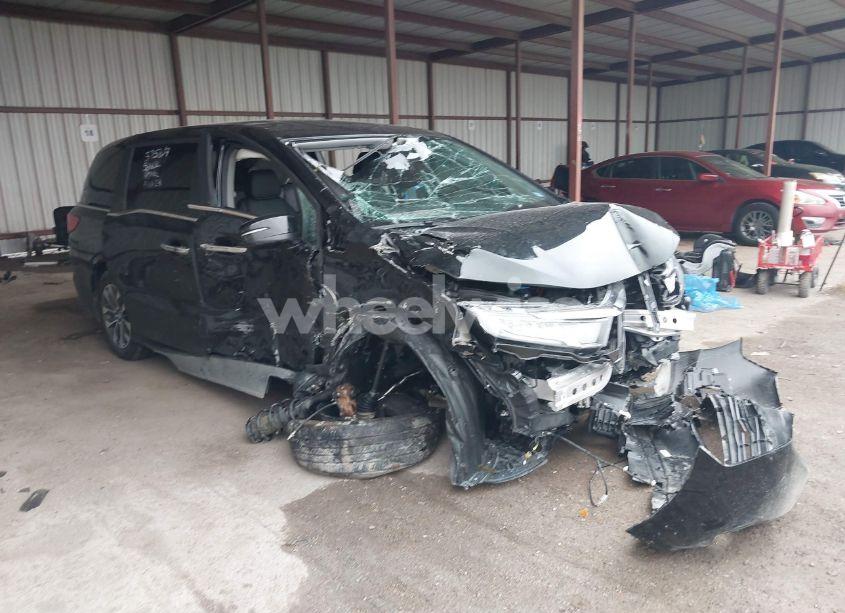 2024 Honda Odyssey EX-L (VIN 5FNRL6H65RB018602) main photo