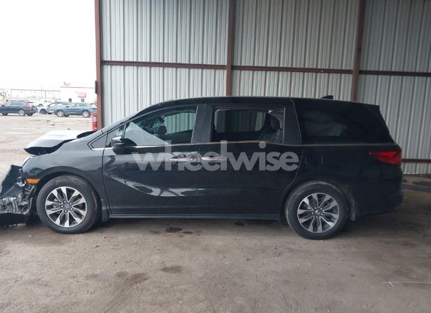 Photo 14 of 2024 Honda Odyssey EX-L (VIN 5FNRL6H65RB018602)