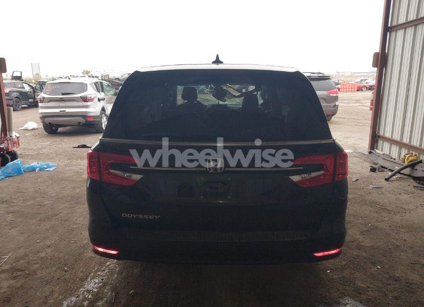 Photo 16 of 2024 Honda Odyssey EX-L (VIN 5FNRL6H65RB018602)