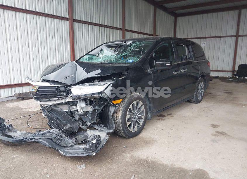 Photo 2 of 2024 Honda Odyssey EX-L (VIN 5FNRL6H65RB018602)