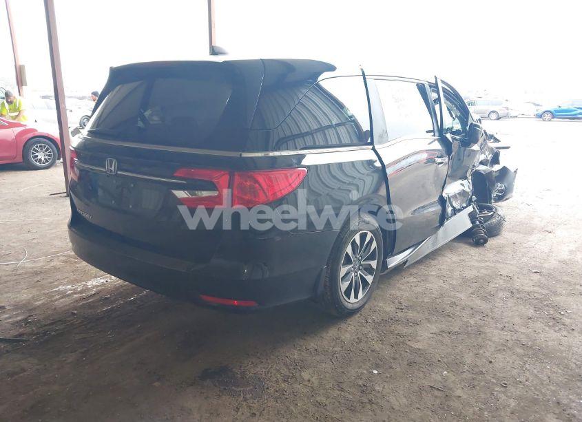 Photo 4 of 2024 Honda Odyssey EX-L (VIN 5FNRL6H65RB018602)