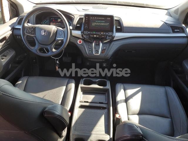 2024 HONDA ODYSSEY EXL (VIN 5FNRL6H65RB050272) main photo