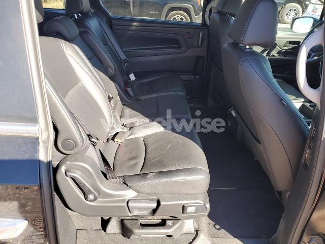Photo 11 of 2024 HONDA ODYSSEY EXL (VIN 5FNRL6H65RB050272)