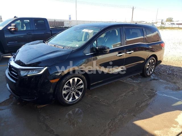 Photo 3 of 2024 HONDA ODYSSEY EXL (VIN 5FNRL6H65RB050272)