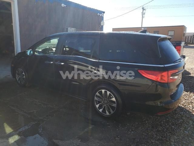 Photo 5 of 2024 HONDA ODYSSEY EXL (VIN 5FNRL6H65RB050272)