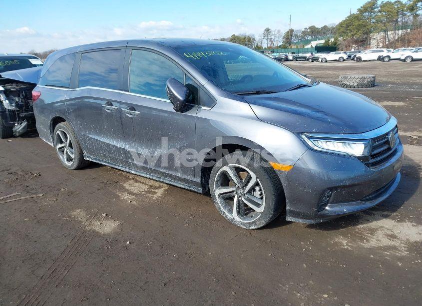 2024 Honda Odyssey EX-L (VIN 5FNRL6H65RB055097) main photo
