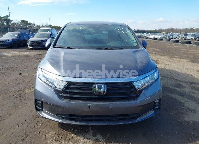 Photo 11 of 2024 Honda Odyssey EX-L (VIN 5FNRL6H65RB055097)