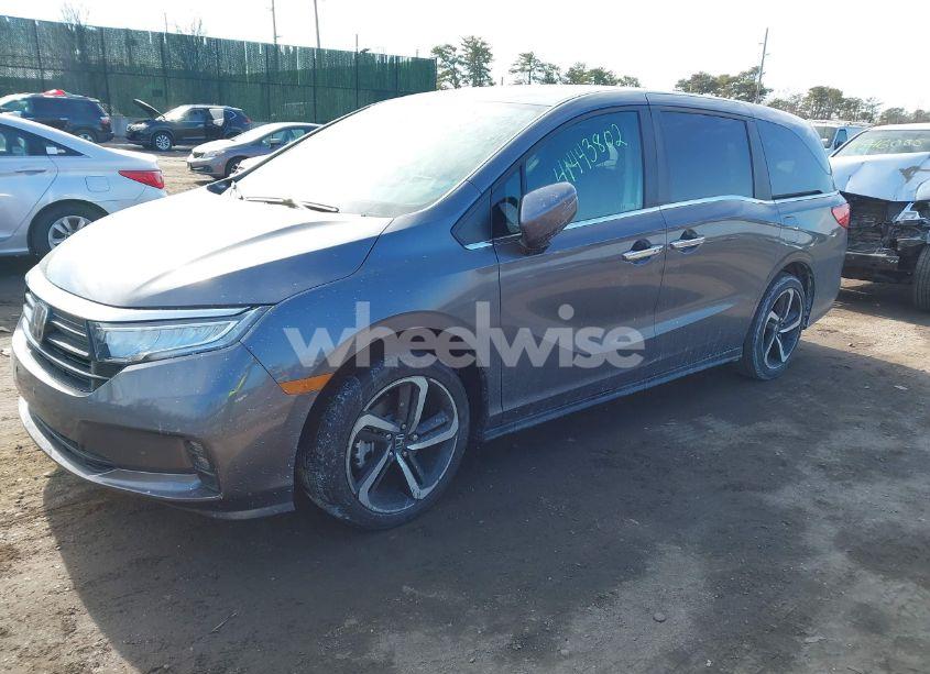 Photo 2 of 2024 Honda Odyssey EX-L (VIN 5FNRL6H65RB055097)