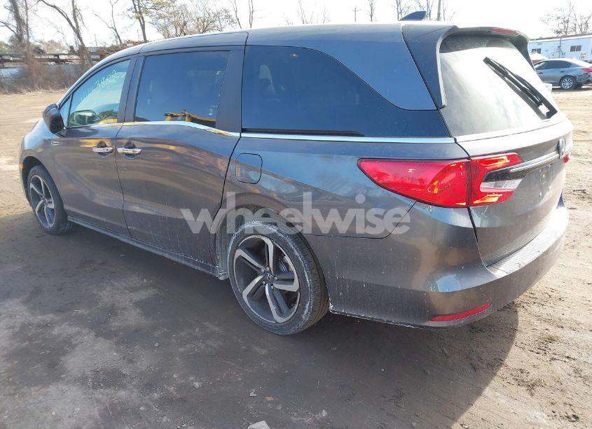 Photo 3 of 2024 Honda Odyssey EX-L (VIN 5FNRL6H65RB055097)