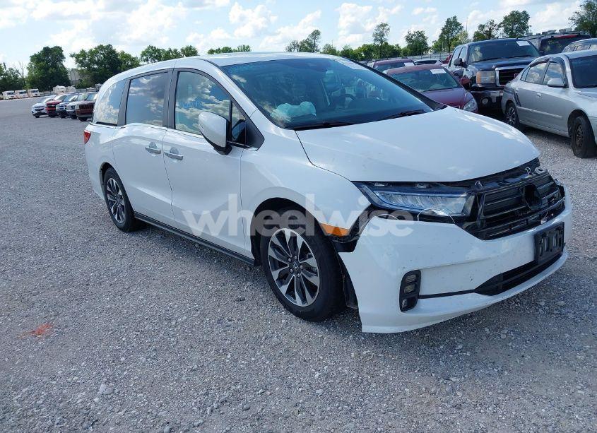 2024 Honda Odyssey EX-L (VIN 5FNRL6H66RB049101) main photo