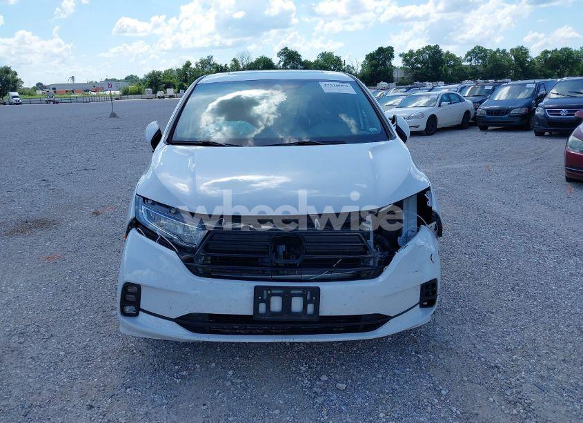 Photo 13 of 2024 Honda Odyssey EX-L (VIN 5FNRL6H66RB049101)