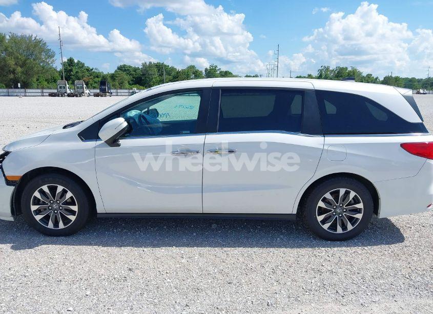 Photo 15 of 2024 Honda Odyssey EX-L (VIN 5FNRL6H66RB049101)