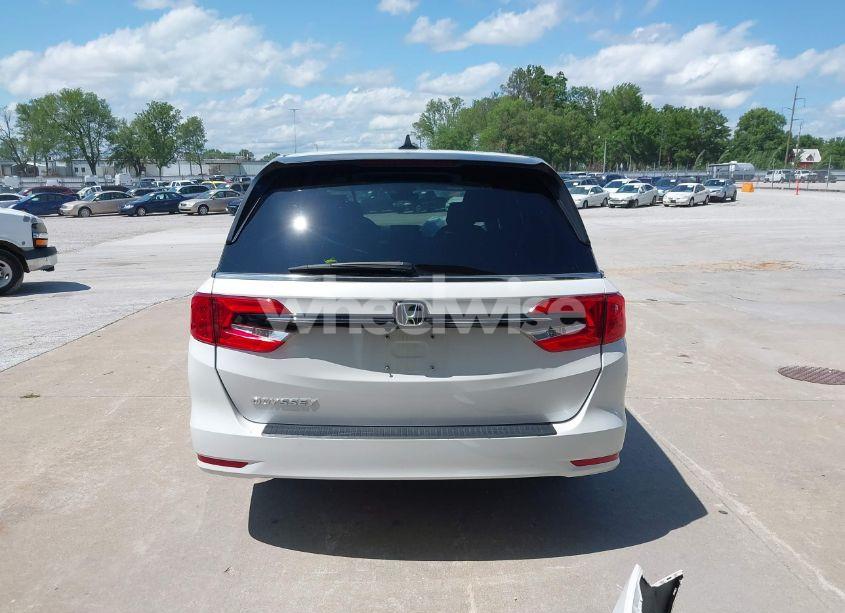 Photo 17 of 2024 Honda Odyssey EX-L (VIN 5FNRL6H66RB049101)