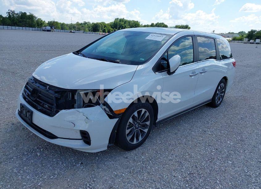 Photo 2 of 2024 Honda Odyssey EX-L (VIN 5FNRL6H66RB049101)