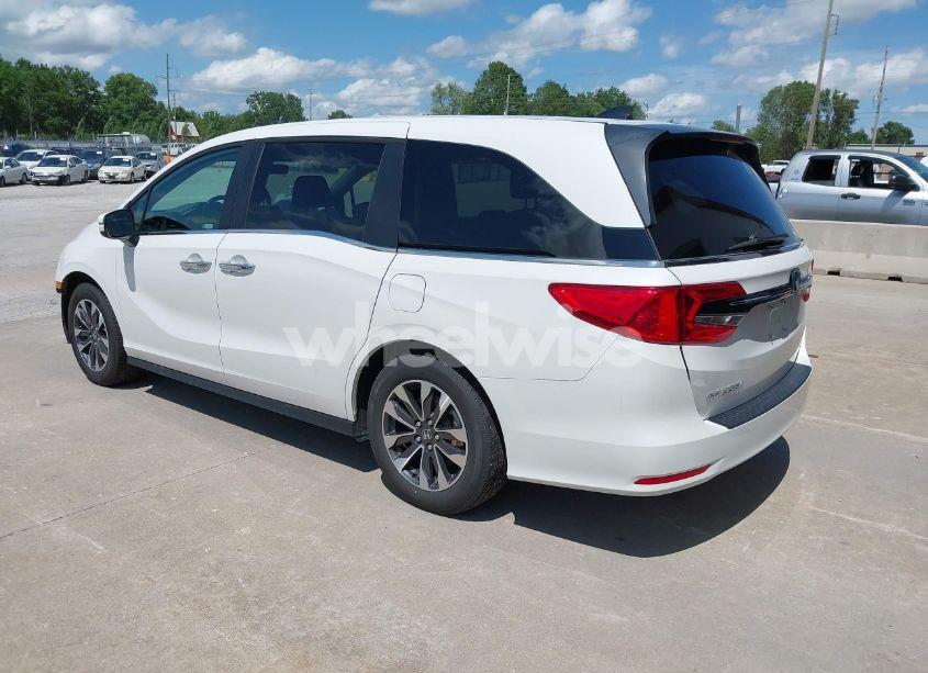 Photo 3 of 2024 Honda Odyssey EX-L (VIN 5FNRL6H66RB049101)