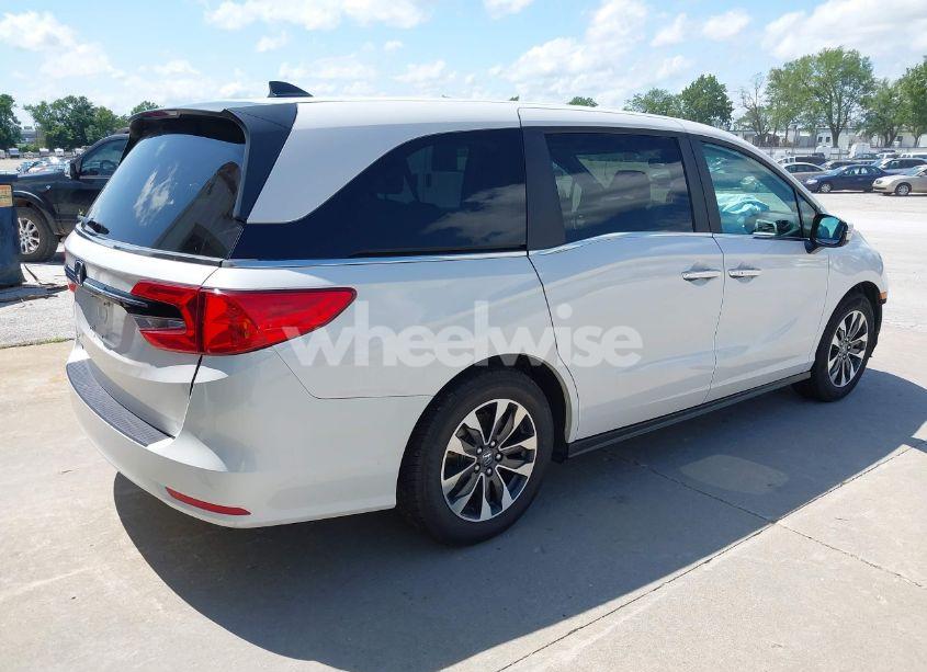Photo 4 of 2024 Honda Odyssey EX-L (VIN 5FNRL6H66RB049101)