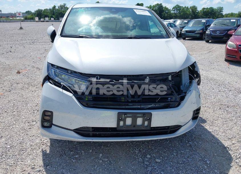 Photo 6 of 2024 Honda Odyssey EX-L (VIN 5FNRL6H66RB049101)