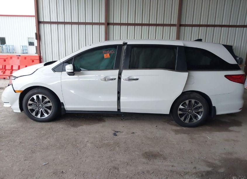 Photo 14 of 2024 Honda Odyssey EX-L (VIN 5FNRL6H66RB073091)