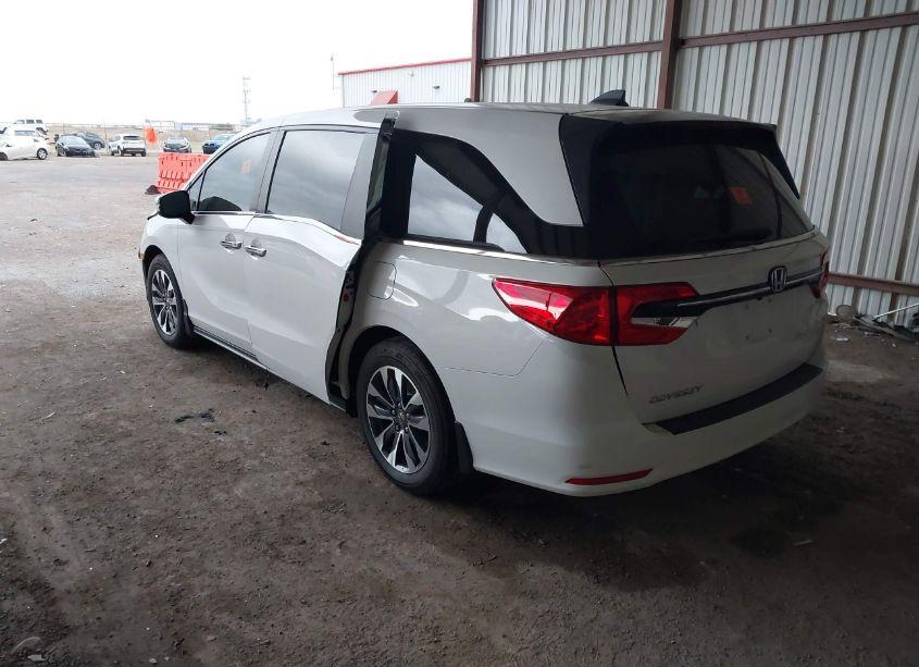 Photo 3 of 2024 Honda Odyssey EX-L (VIN 5FNRL6H66RB073091)