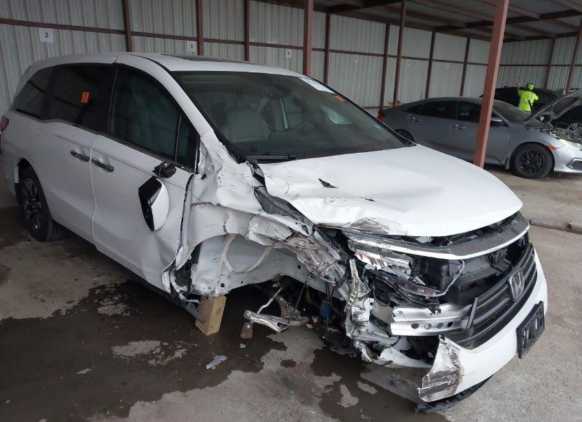 Photo 6 of 2024 Honda Odyssey EX-L (VIN 5FNRL6H66RB073091)