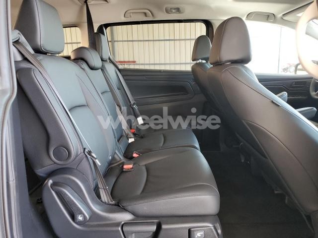 Photo 11 of 2025 HONDA ODYSSEY EXL (VIN 5FNRL6H66SB082542)